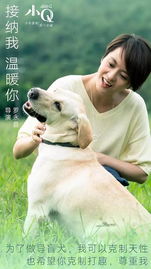 购买假意大利